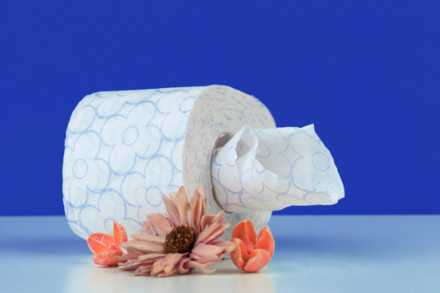 Toilet paper roll with flowers